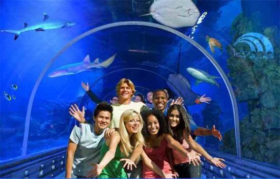 Akwarium Hurghada Grand Aquarium